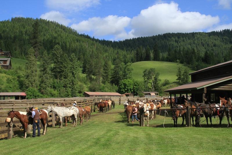 Red Horse Mountain Ranch (Harrison, ID) 2019 Review & Ratings | Family