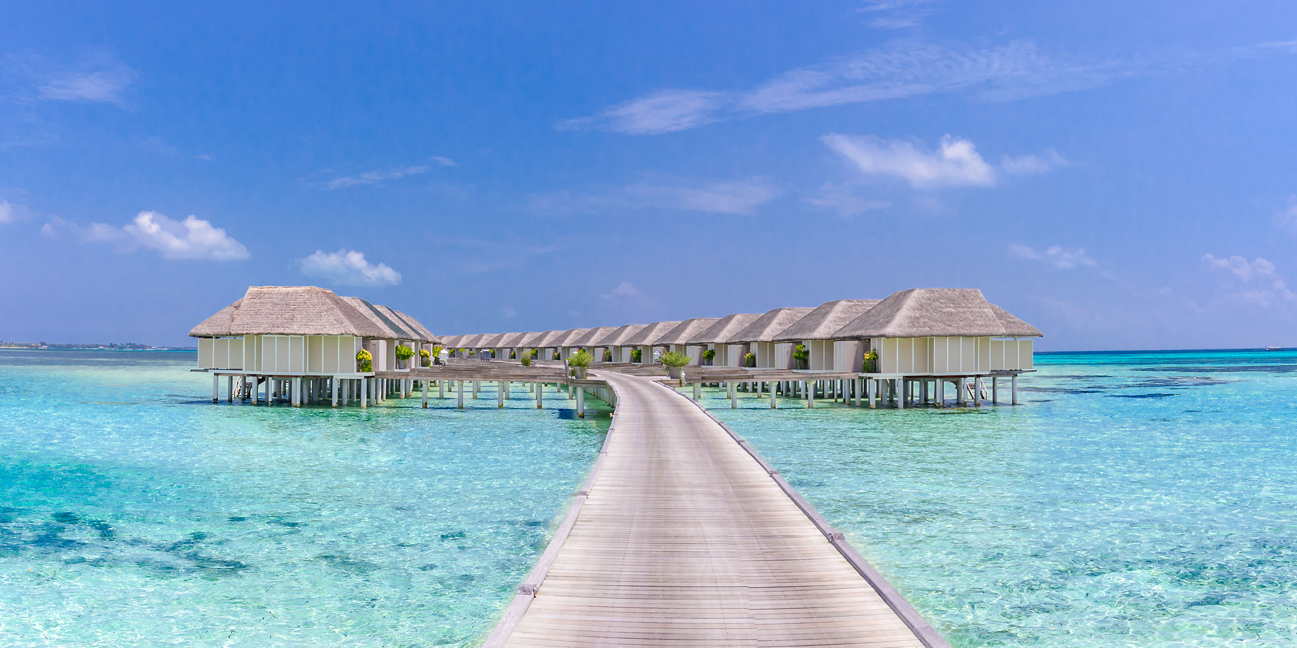 National Bird Overwater Bungalows Ocean Resort Maldives - Rezfoods ...