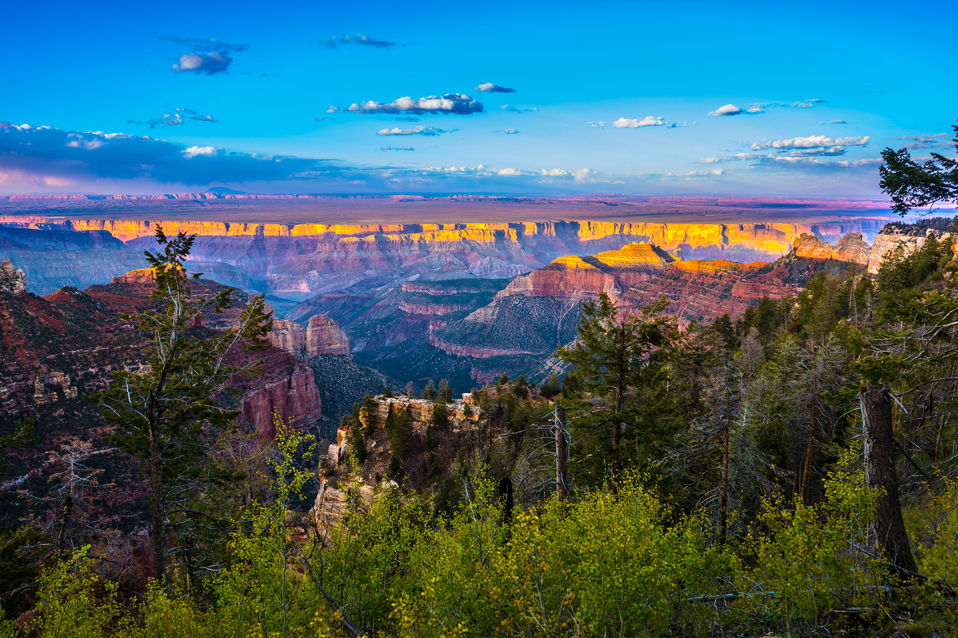 Grand Canyon National Park; Courtesy of Kris Wiktor/Shutterstock.com