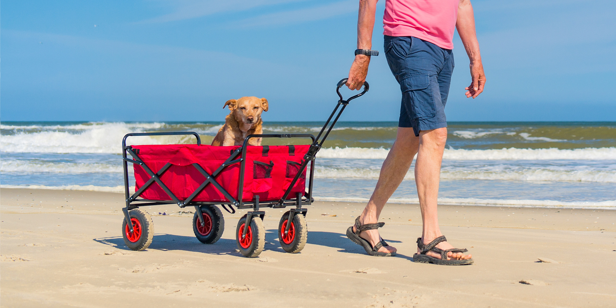 best baby beach wagon