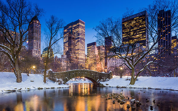 Central Park at Night in Winter