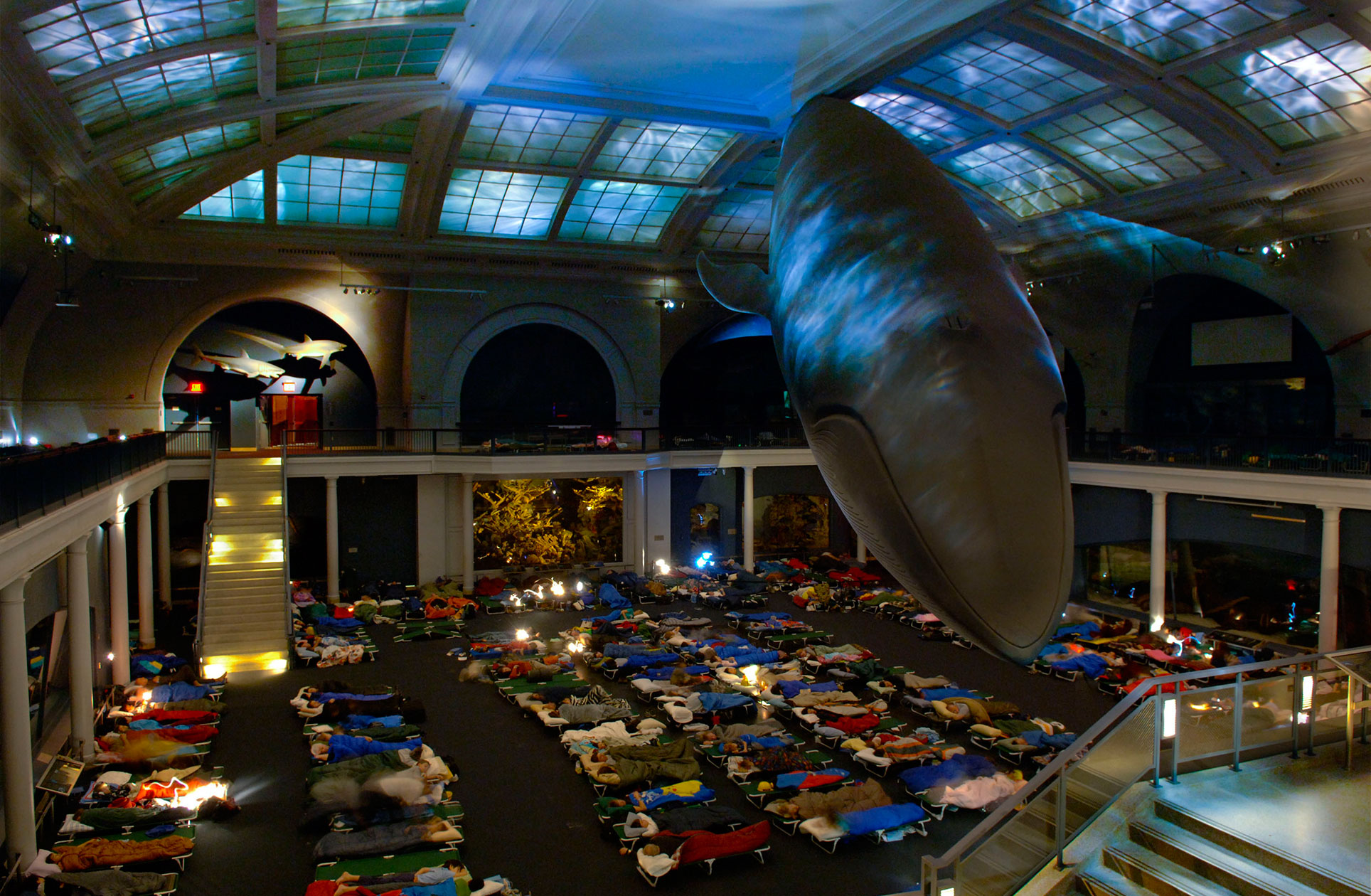 Night at the Museum Sleepover