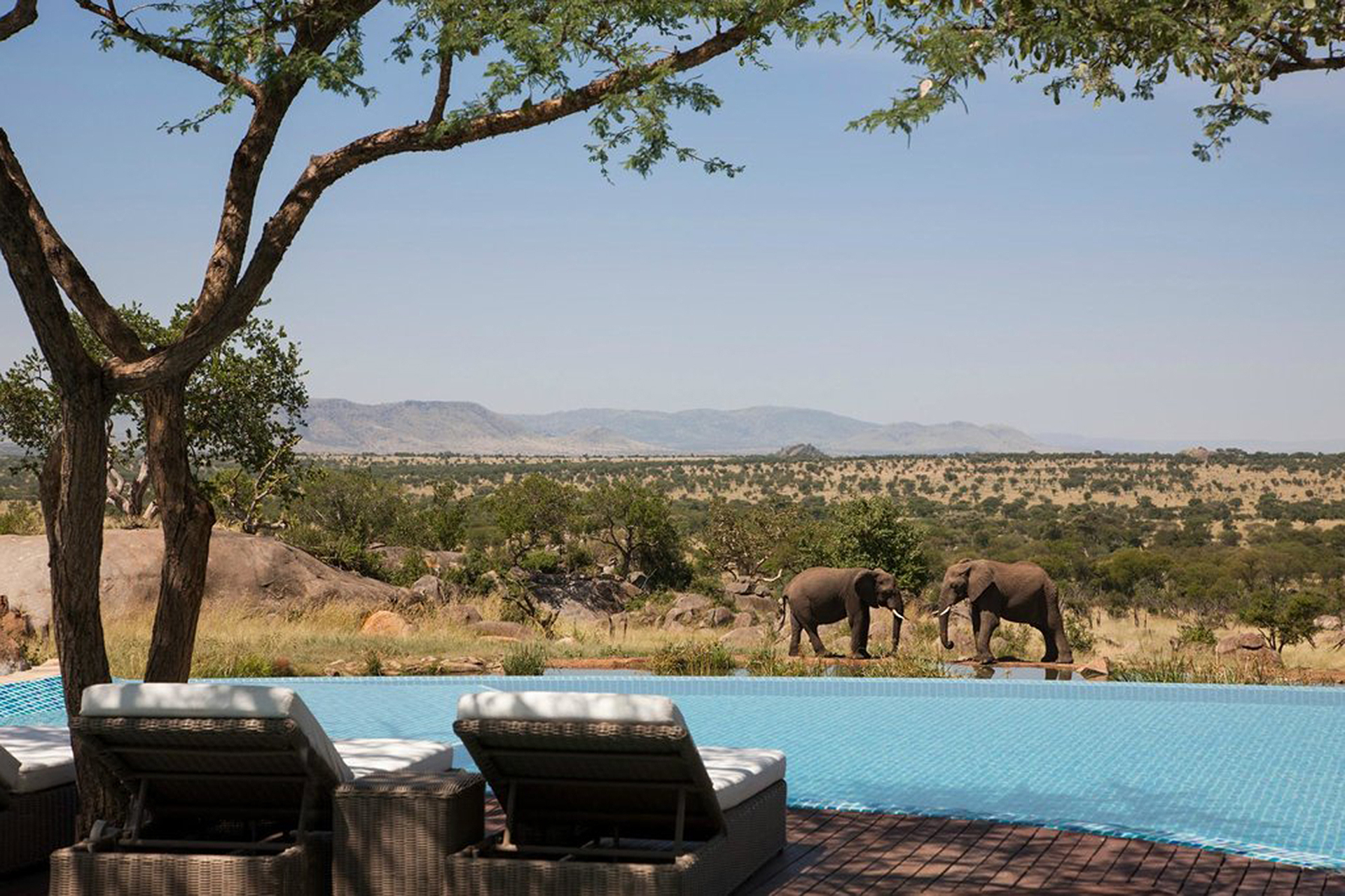 safari resorts in africa