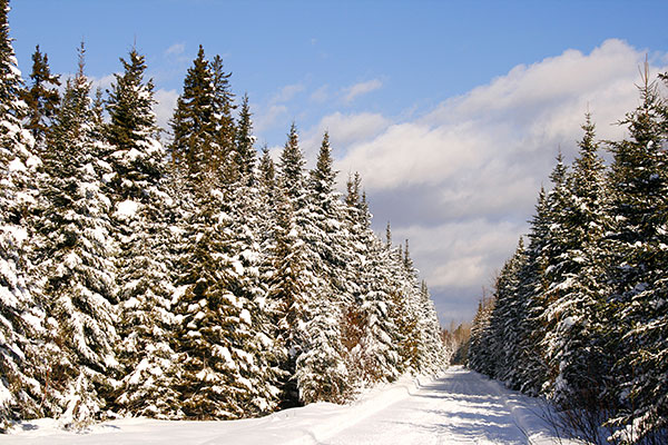 Snowy Winter in Maine