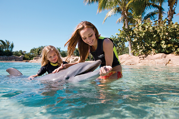 Dolphin swim experience at Discovery Cove in Orlando