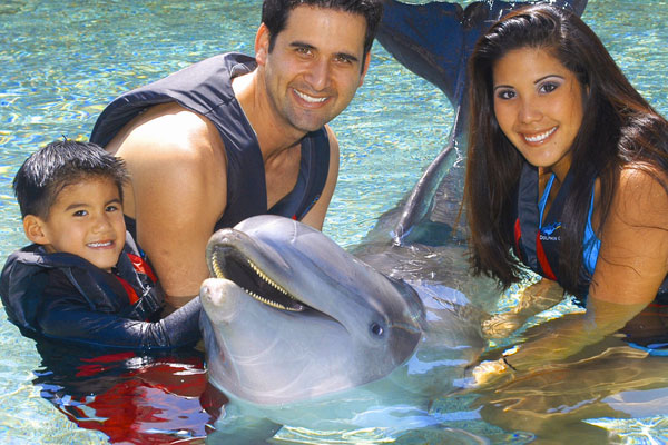 A family swimming with a dolphin at the Hilton Waikoloa Village in Hawaii.