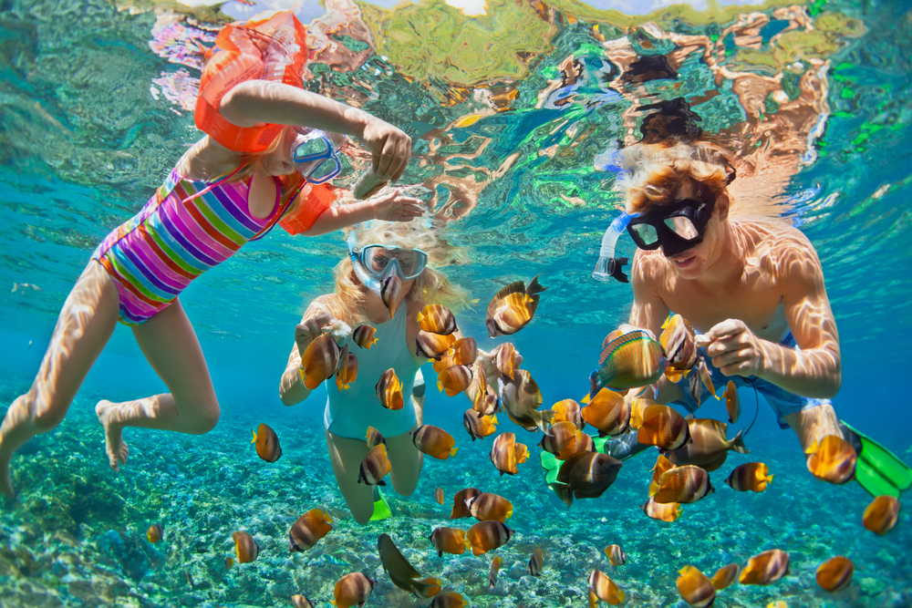 Father and 2 daughters snorkeling with fish 