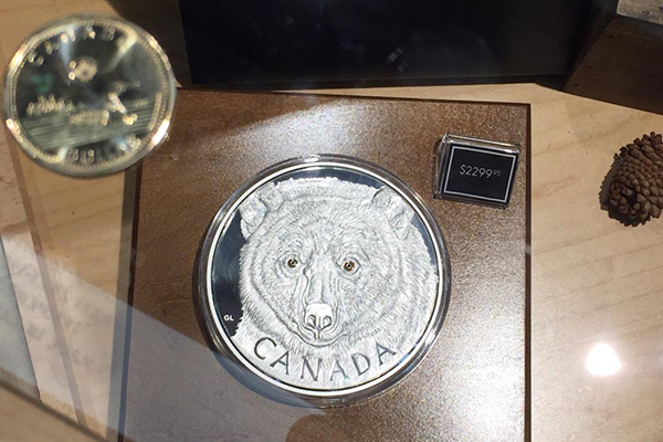 A coin with a bear on it is displayed at the Winnipeg Royal Canadian Mint.