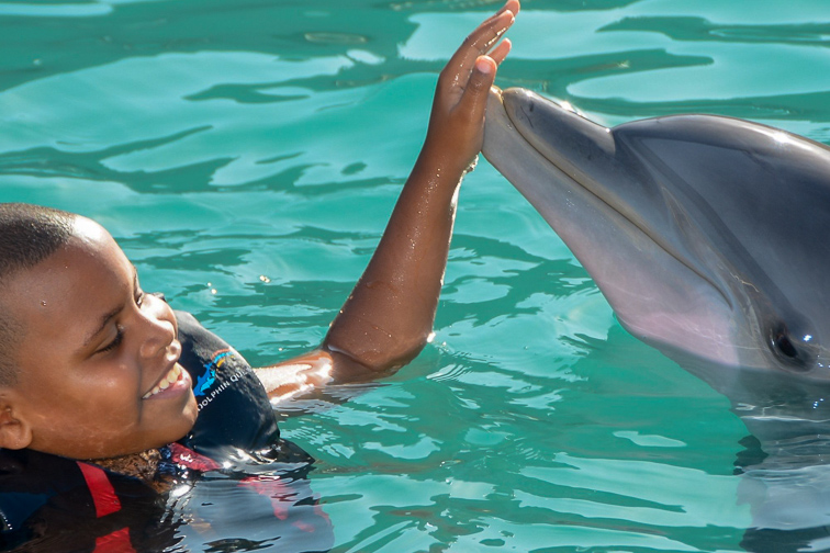Bermuda Dolphin QUest; Courtesy Tripadvisor Traveler/MommaMer97