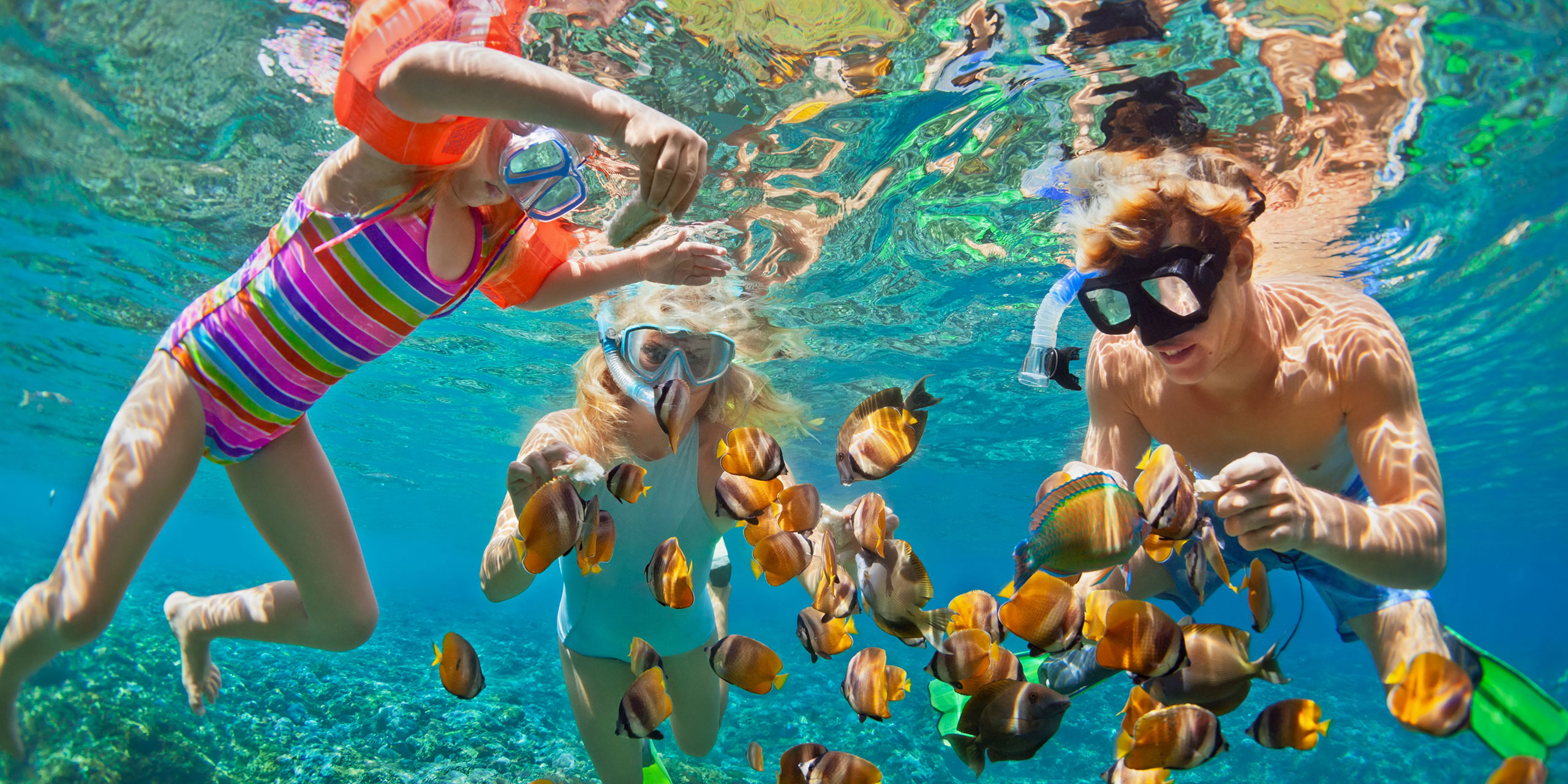 Family Snorkeling with Fish; Courtesy of Tropical Studio/Shutterstock.com