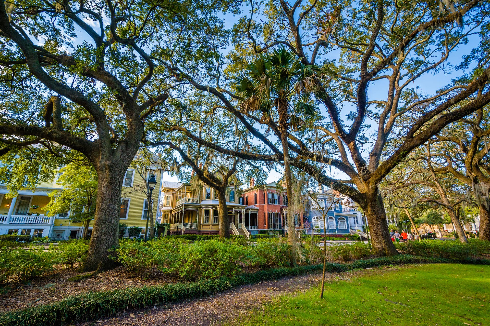 Savannah, Georgia; Photo Courtesy of Jon Bilous/Shutterstock.com