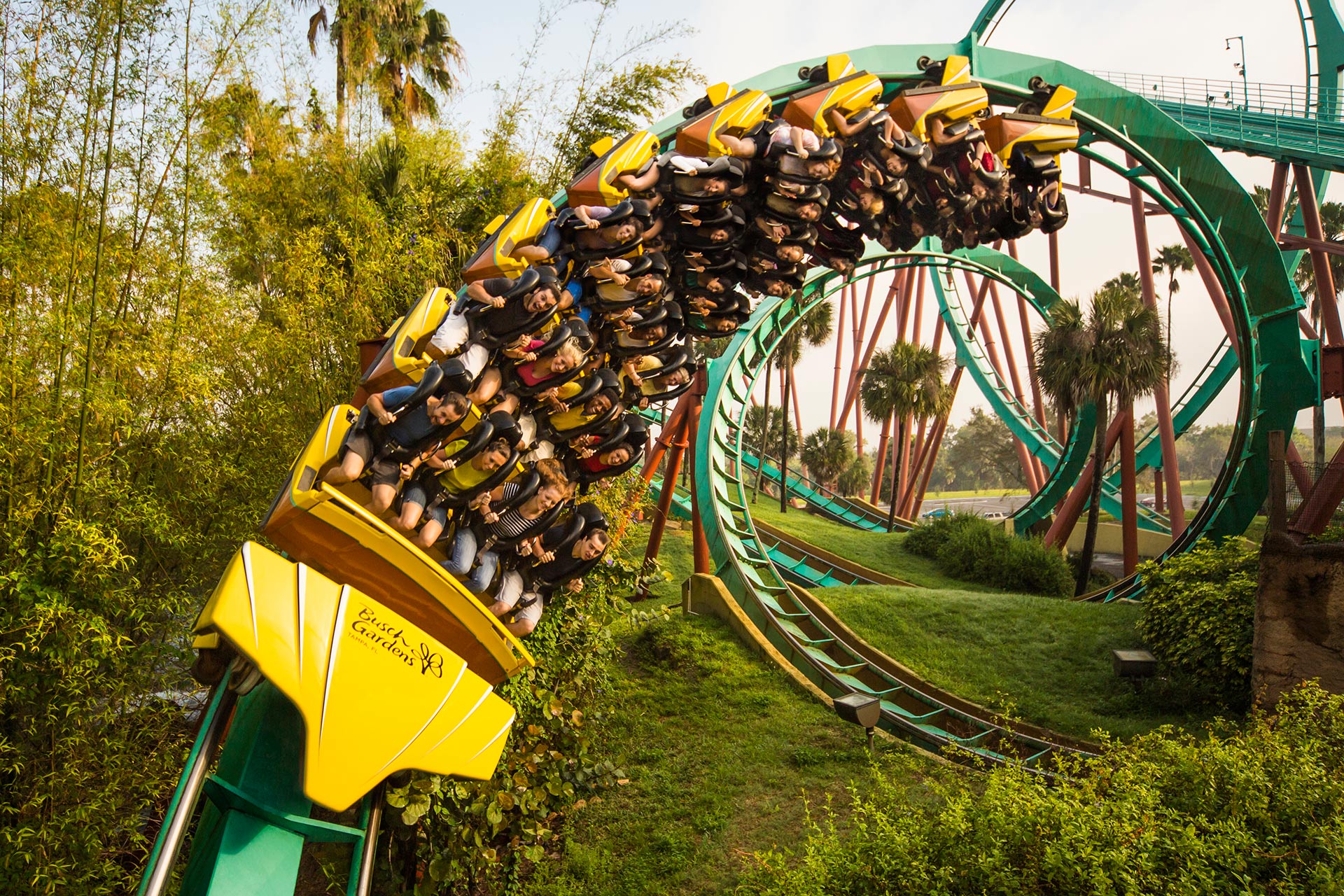 A ride at Busch Gardens Tampa Bay.