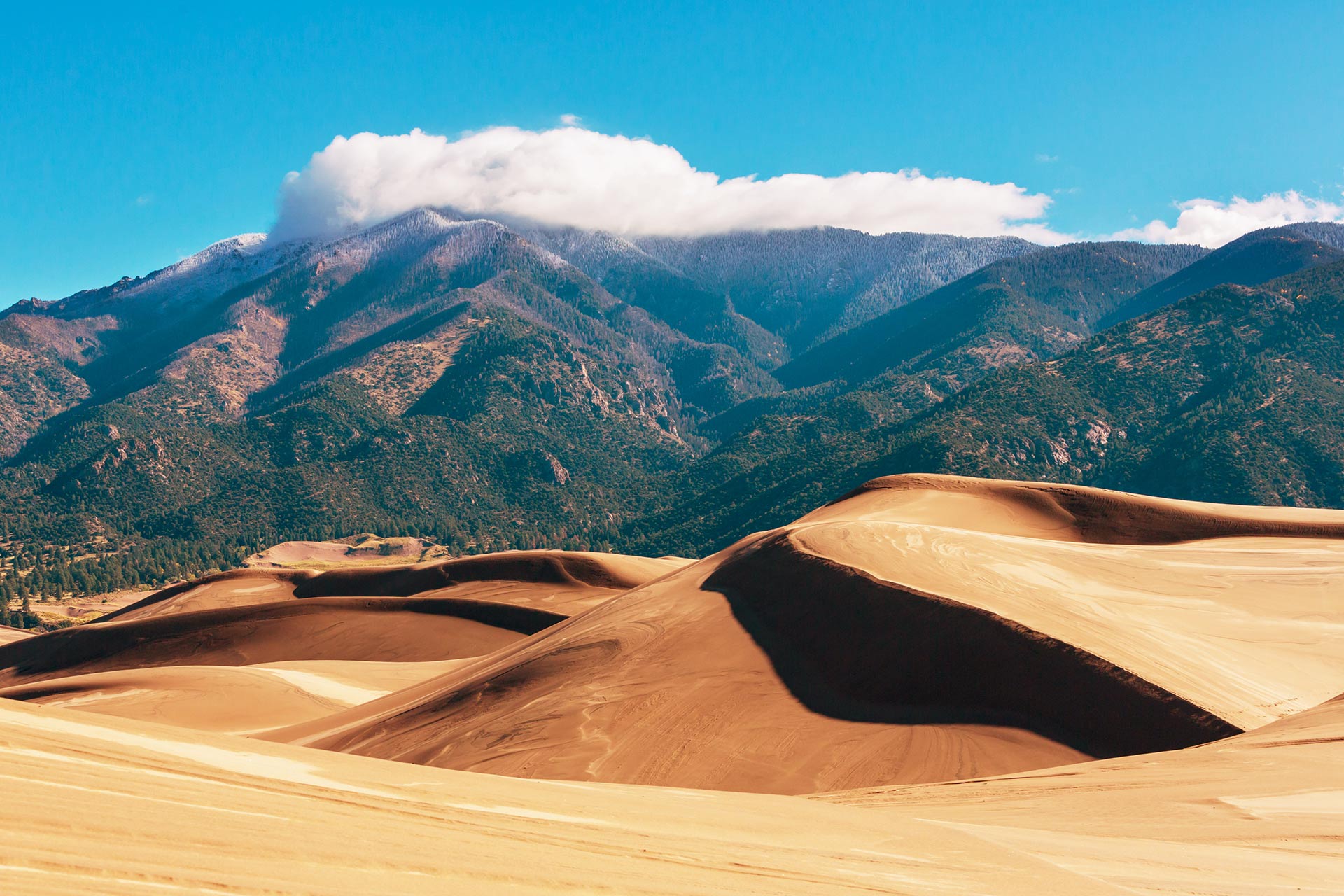 Great Sand Dunes National Park in Colorado.