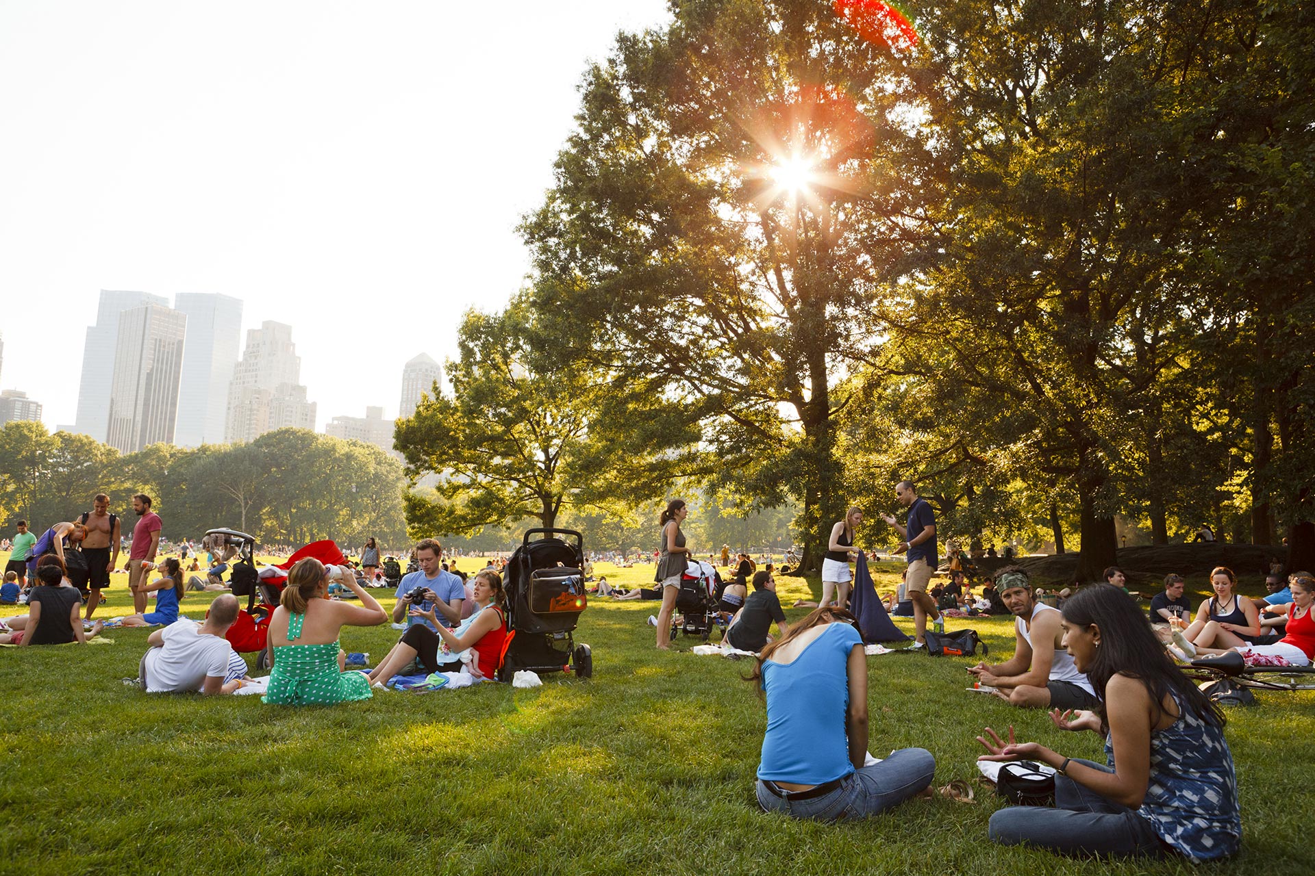 Central Park in New York City.