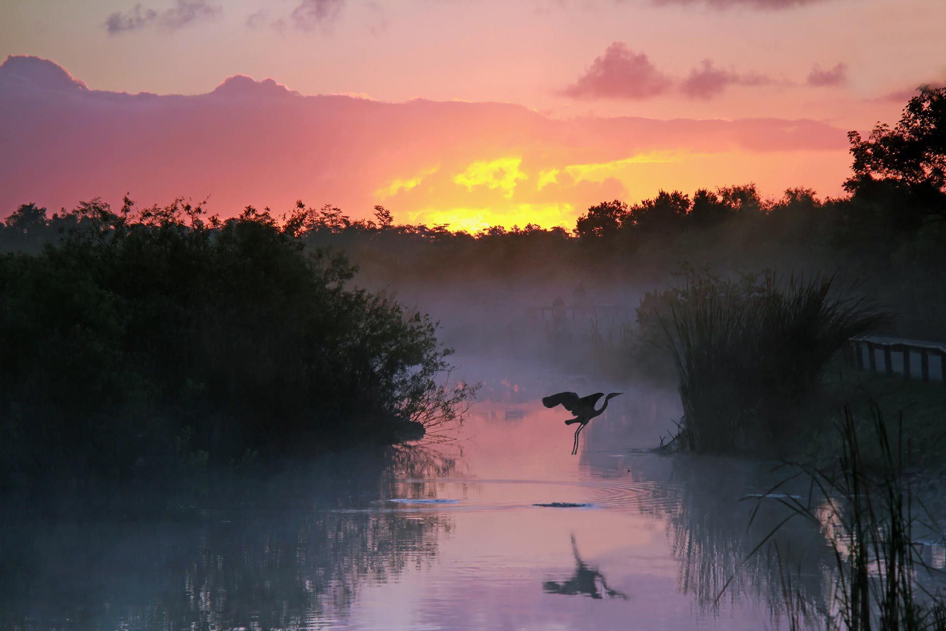 Everglades National Park in Florida