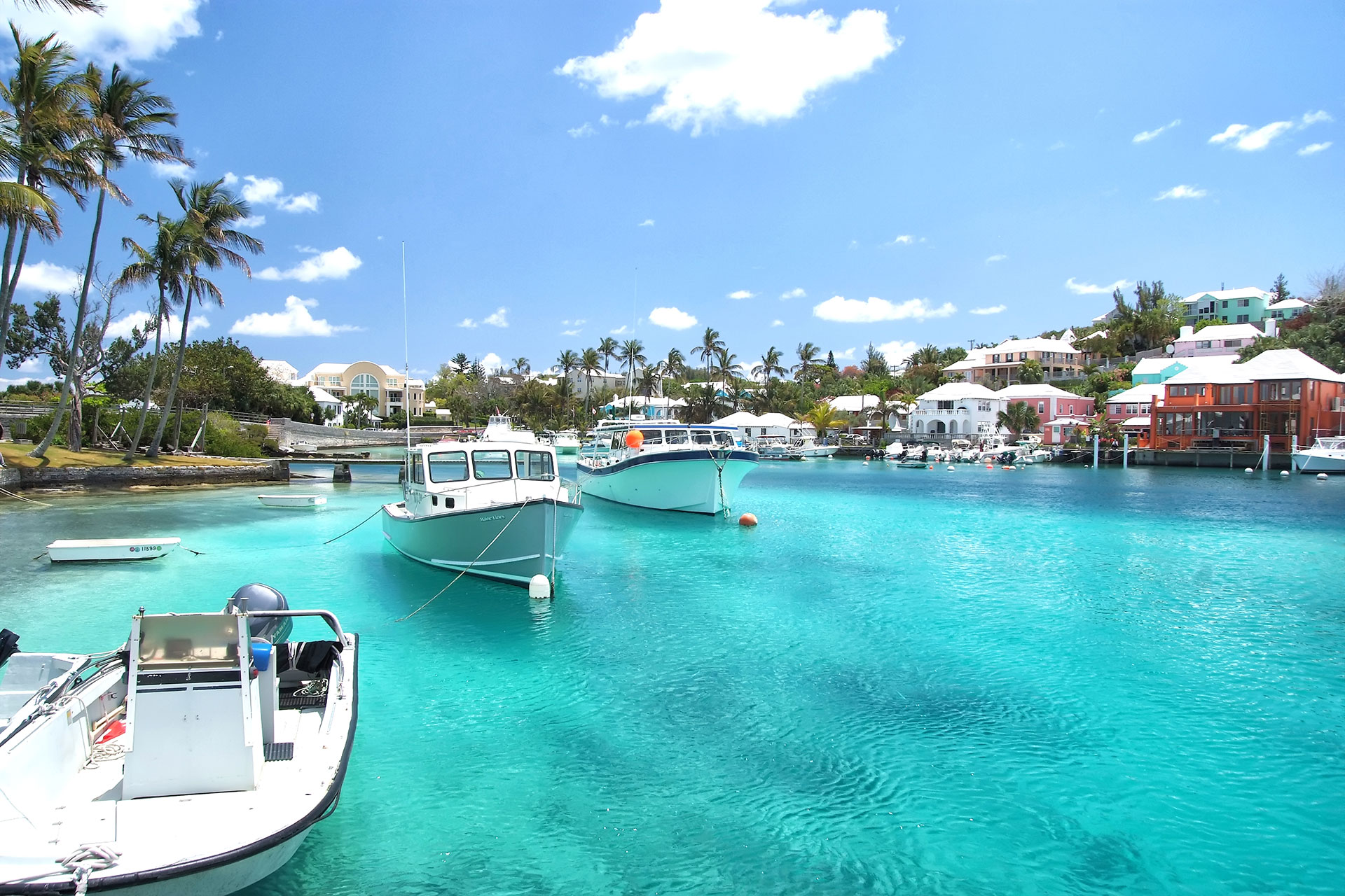 Pink sand beach in Bermuda