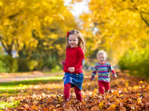 Kids Playing in Fall Leaves; Courtesy of FamVeld/Shutterstock.com