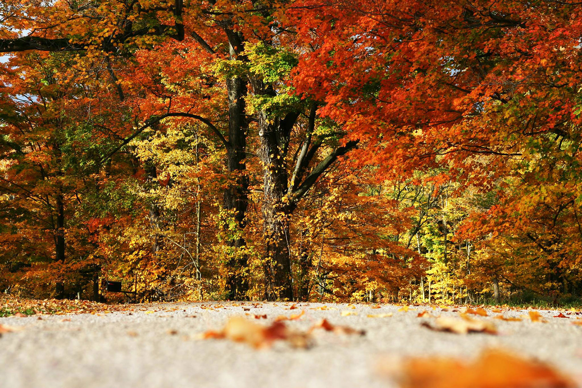 Courtesy of Geneva-on-the-Lake Visitors Bureau Fall Foliage on Geneva-on-the-Lake