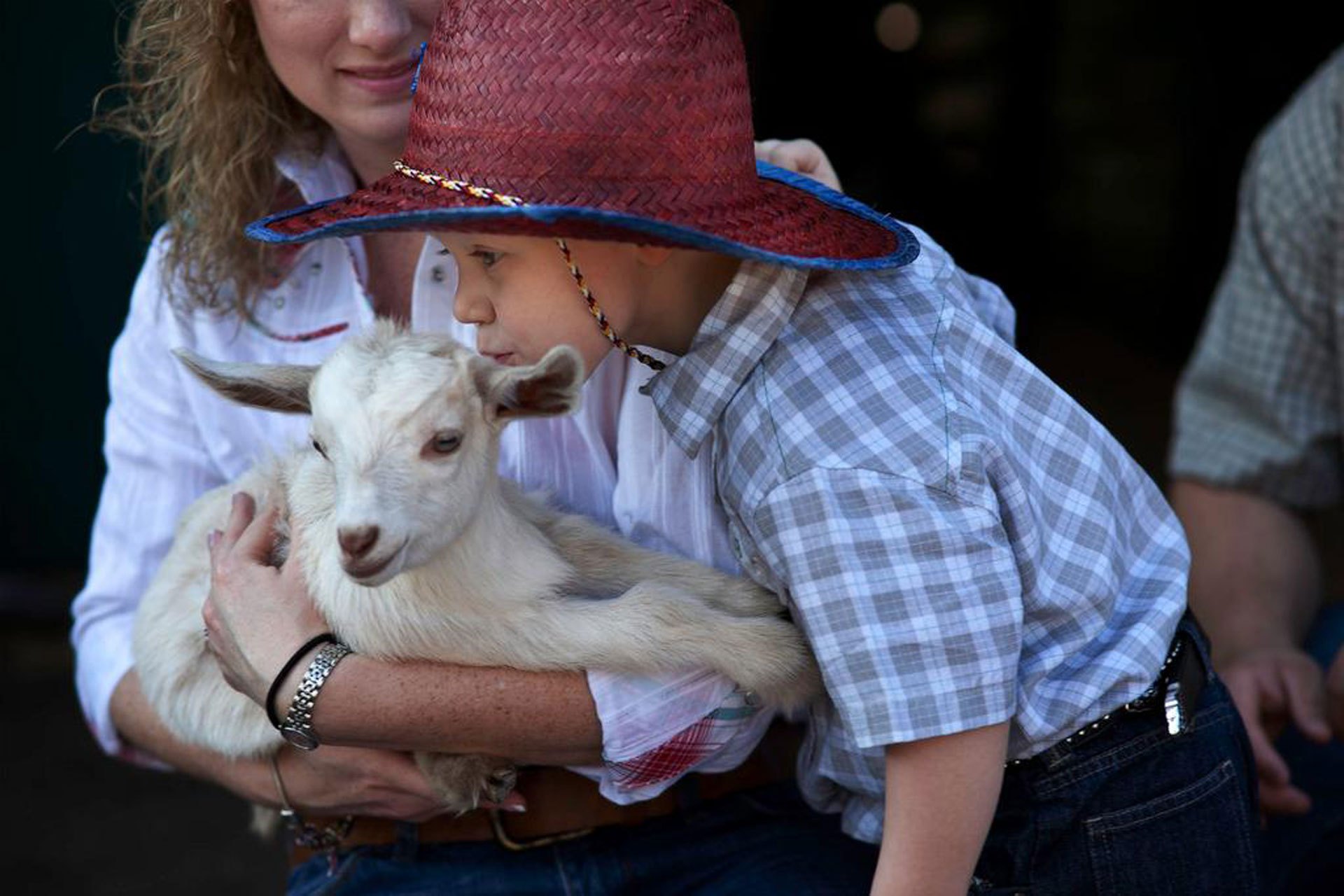 Little Boy With Baby Lamb at Westgate River Ranch Resort & Rodeo in Florida