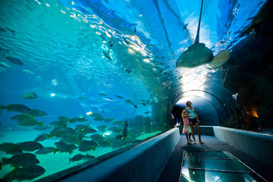 Maui Ocean Center, The Aquarium of Hawaii