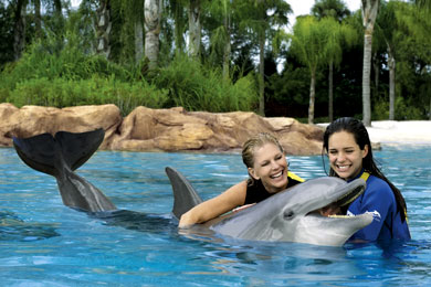 Discovery Cove (Orlando, FL) 2021 Review & Ratings | Family Vacation Critic