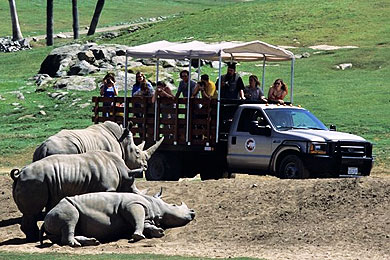 caravan safari san diego