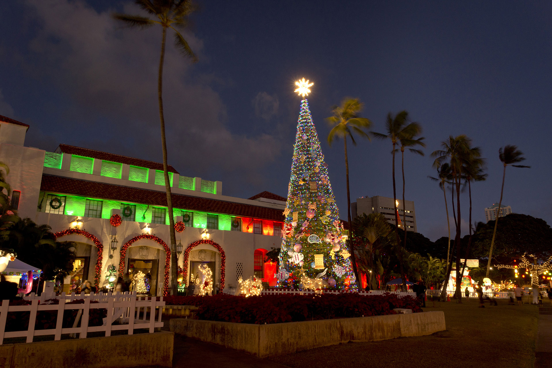 Oahu Hawaii Christmas; Courtesy of cleanfotos/Shutterstock.com