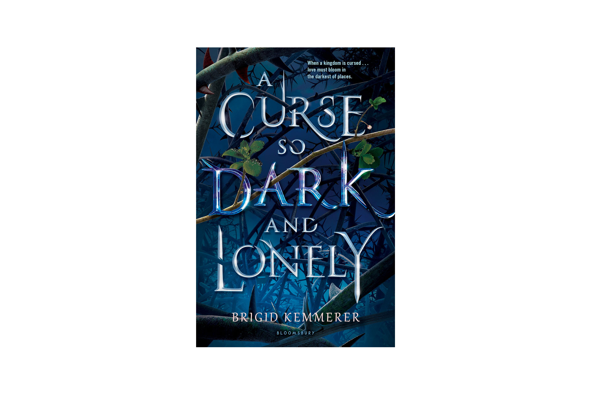 A Curse So Dark and Lonely Book; Courtesy of Amazon
