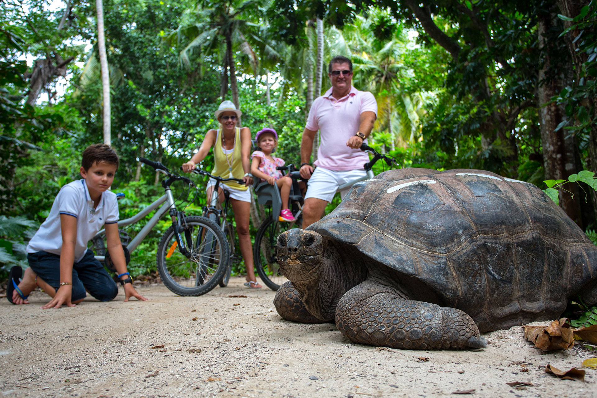 Family with Tortoise on Jacada Travel’s Africa Skip-Gen Itinerary