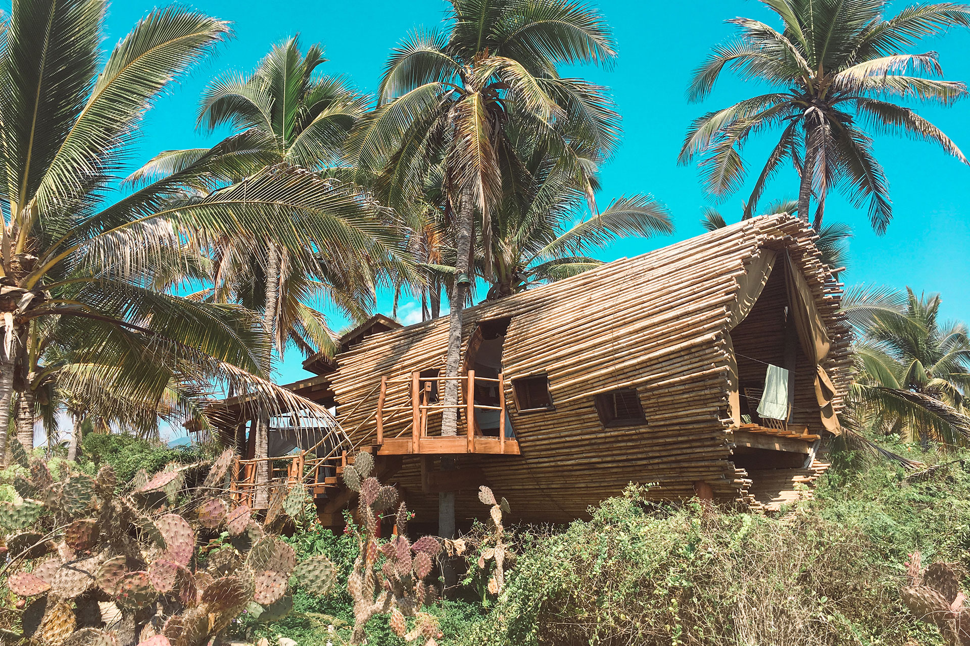 Playa Viva Treehouse; Courtesy of Glamping Hub and Louise Claire Johnson 