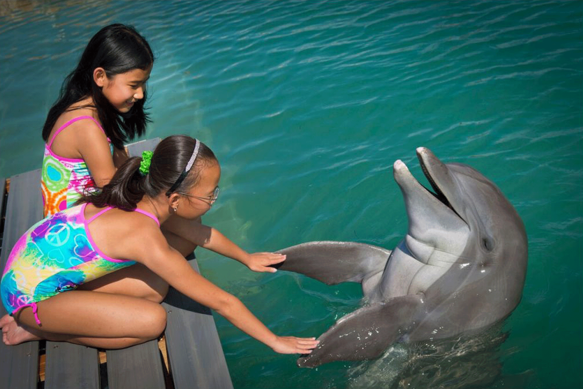Hawks Cay Resort Dolphin Connection; Courtesy of Hawks Cay Resort