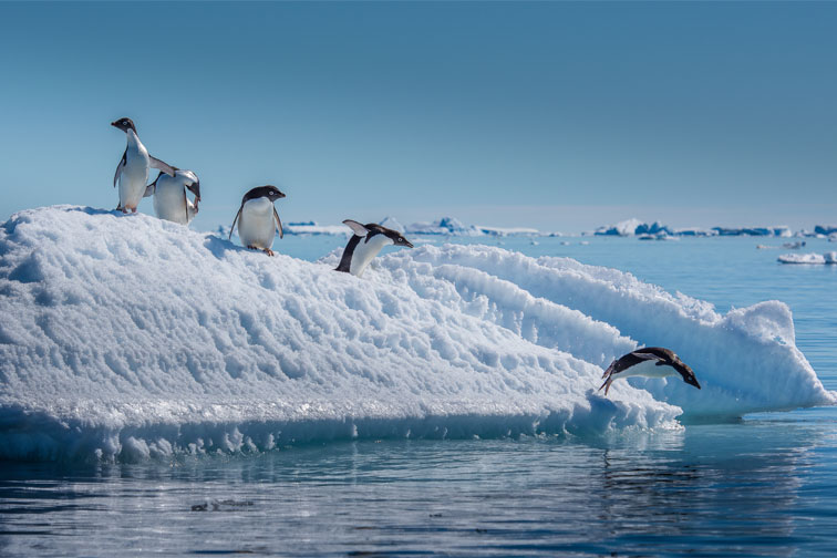 Antarctica; Courtesy of Stu Shaw/Shutterstock.com