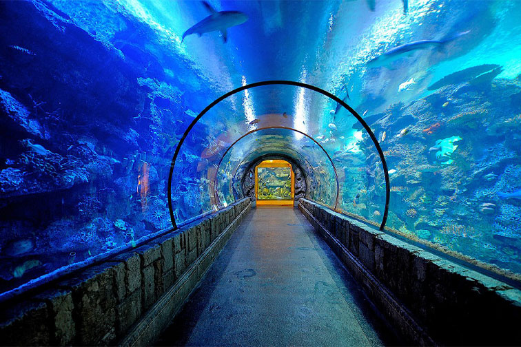 The Shark Reef Aquarium at the Mandalay Bay in Las Vegas; Courtesy of Mandalay Bay