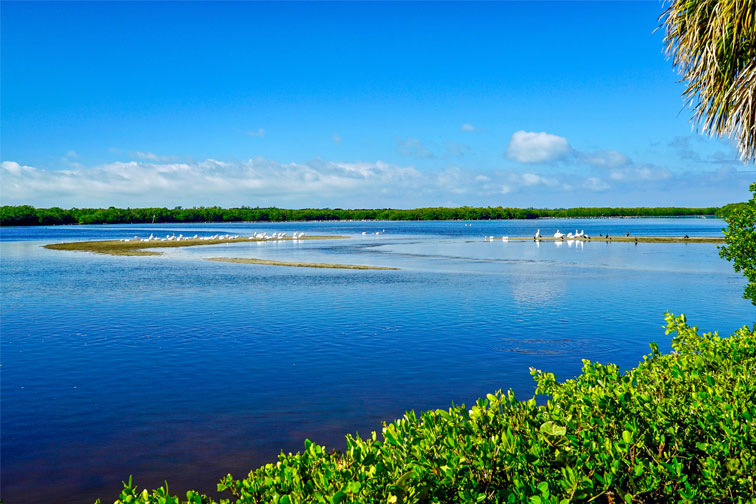 Sanibel Island in Florida; Courtesy of Susan Rydberg/Shutterstock.com