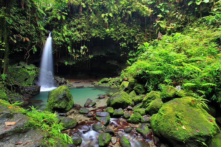 Emerald pool waterfall in Dominica.;Courtesy of emperorcosar/Shutterstock