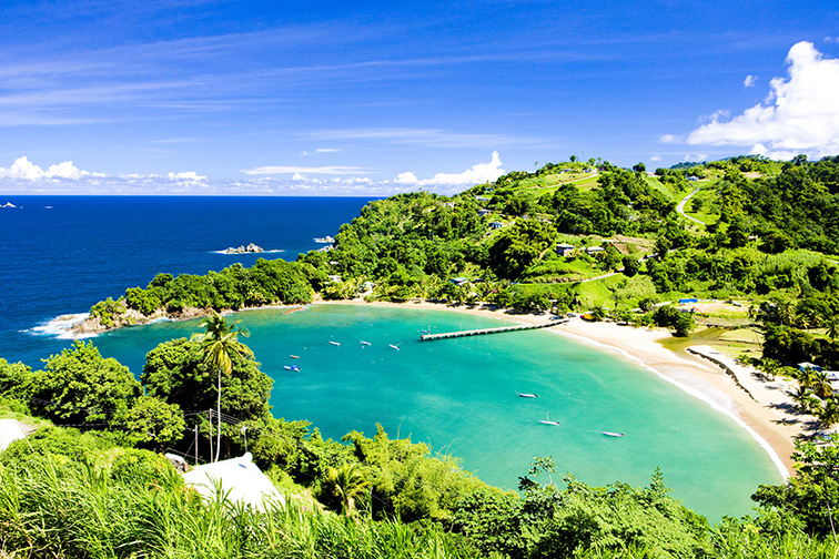 Parlatuvier Bay, Tobago;Courtesy of Richard Semik/Shutterstock
