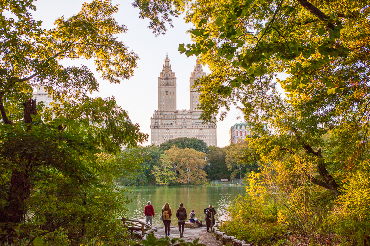 Bird-Watching in Central Park ;Courtesy of NYC & Company