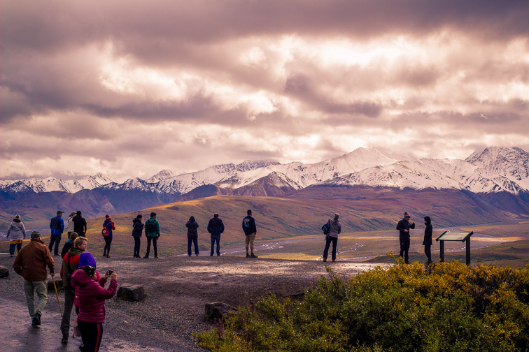 Touring Denali National Park; Courtesy of Amanda Wayne/Shutterstock