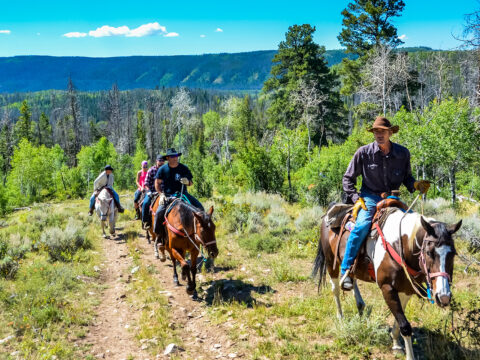 Guided horseback riding tour on mountain trail in Medicine Bow National Forest.; Courtesy of Sandra Foyt/Shutterstock