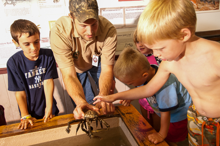 kids learn at the Meigs Point Nature Center; Courtesy Connecticut Office of Tourism