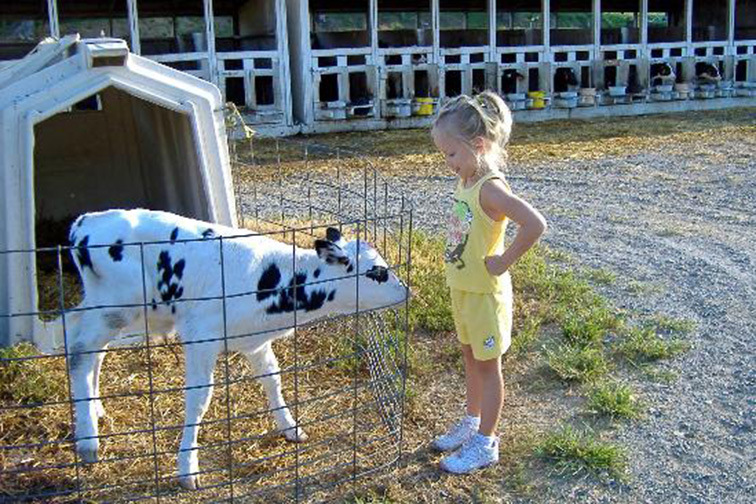 Rocky Acre Farm B&B – Mount Joy, Pennsylvania; Courtesy Tripadvisor Traveler/skiing susie