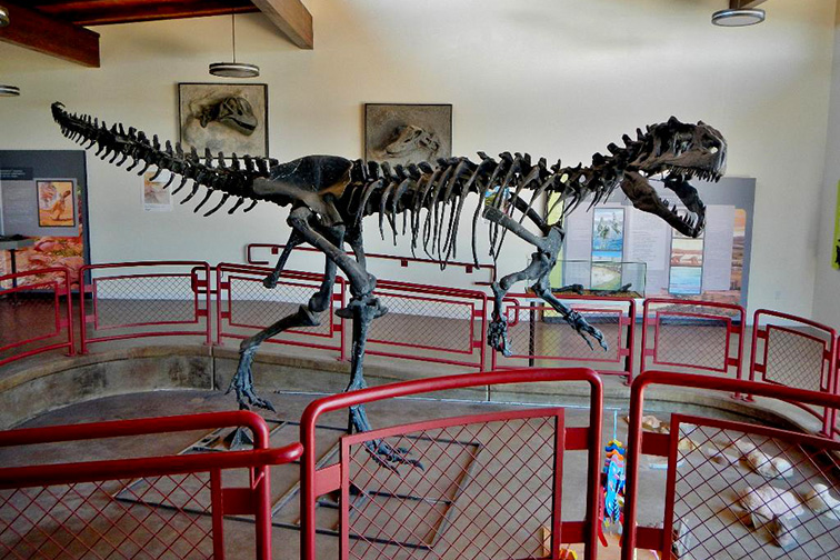 Cleveland-Lloyd Dinosaur Quarry; Courtesy Tripadvisor Traveler/Mary C