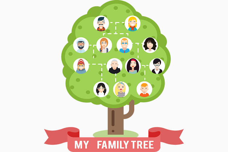 family tree illustration; Courtesy Shutterstock