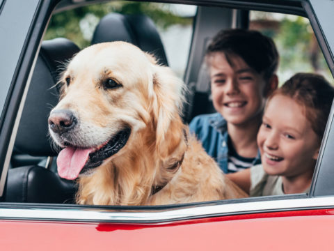 Kids and dog in back seat of red car