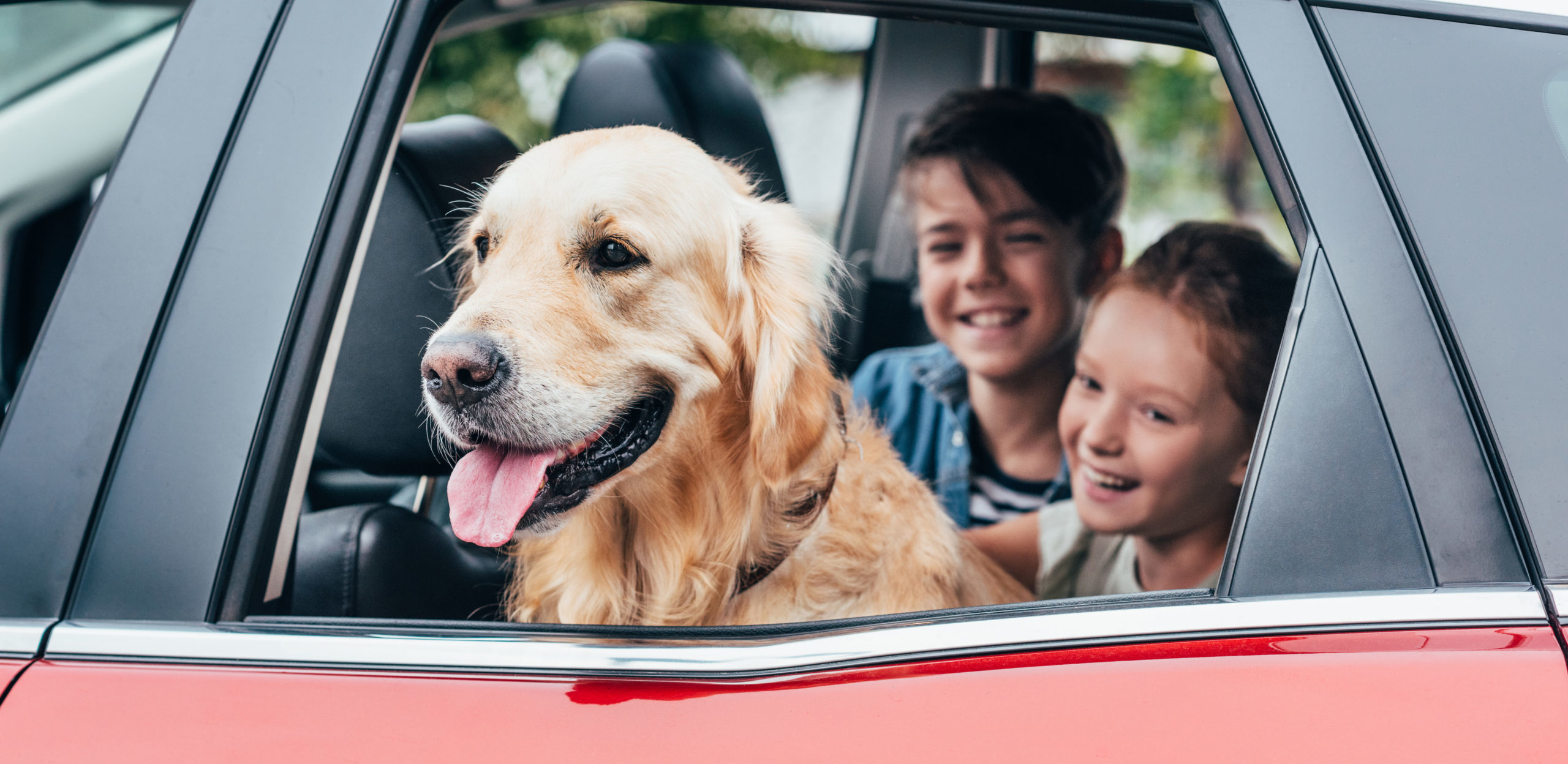 Kids and dog in back seat of red car