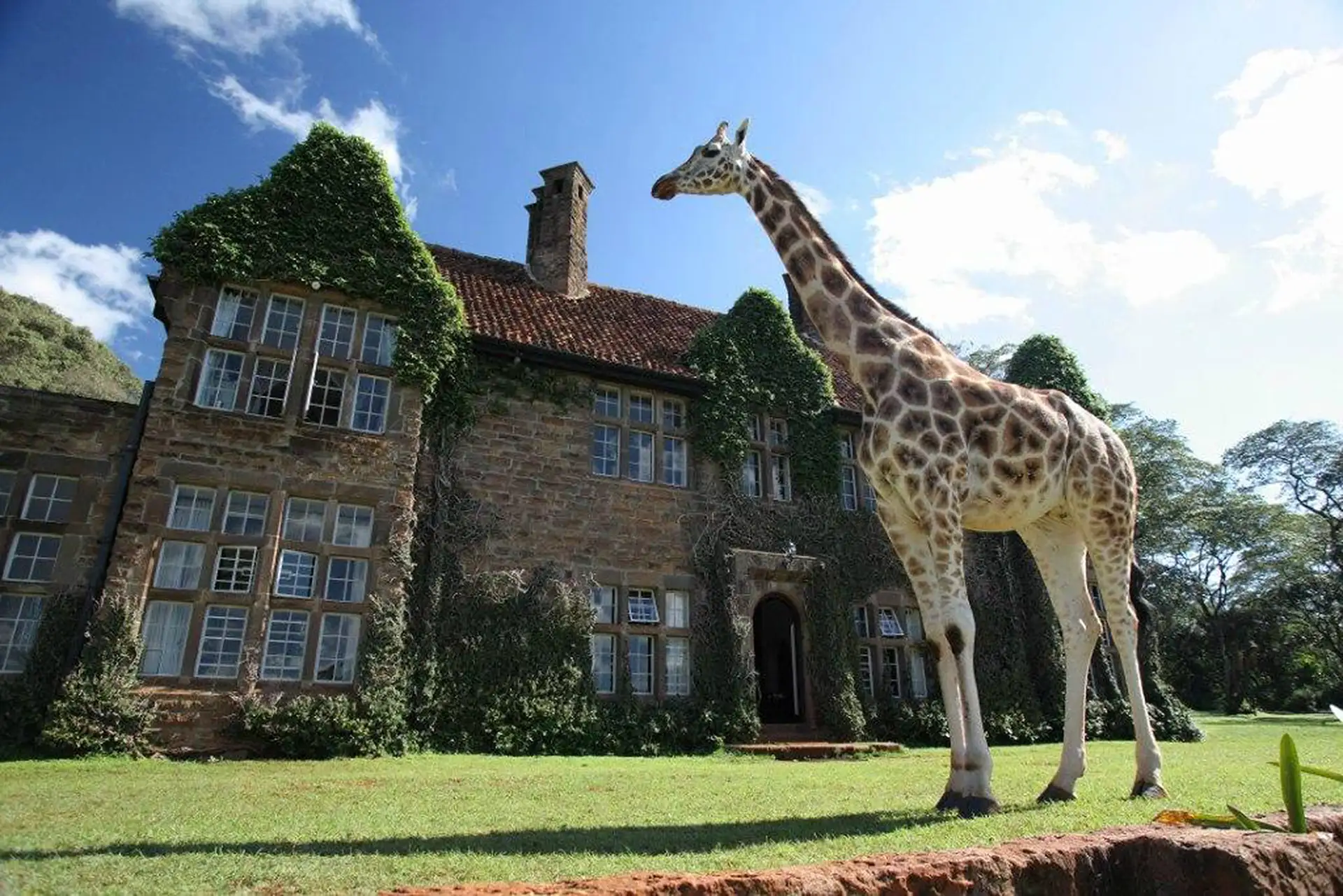 Photo Courtesy of Giraffe Manor