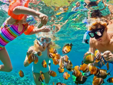 father, mother, child in snorkeling mask dive underwater with tropical fishes in coral reef sea pool; Courtesy of Tropical studio/Shutterstock