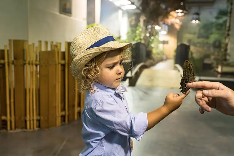 Young Boy at Audobon Insectarium in New Orleans, LA