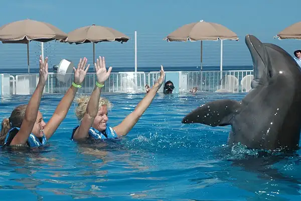 Mother and daughter playing with a dolphin at the Marineland Dolphin Adventure in St. Augustine, Florida.