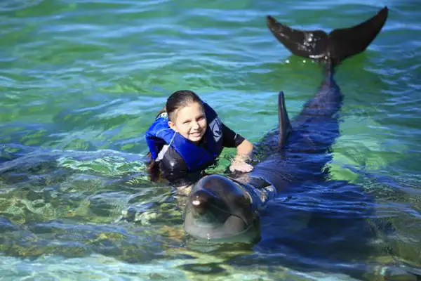 Little girl swimming with a dolphin at Sea Life Park on Oahu, Hawaii.